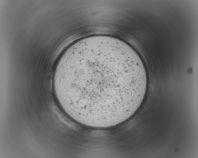 X0000112781227200909171329