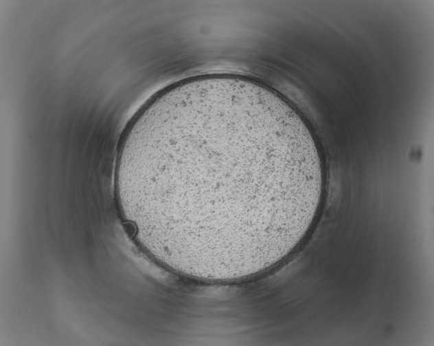 X0000112781228200909171329