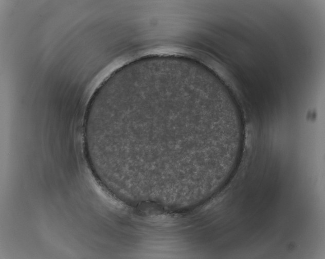 X0000112781229200909171329