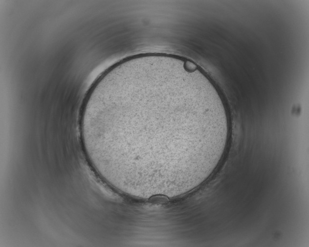 X0000112781230200909171329