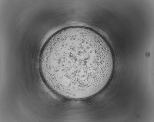 X0000112781231200909171329