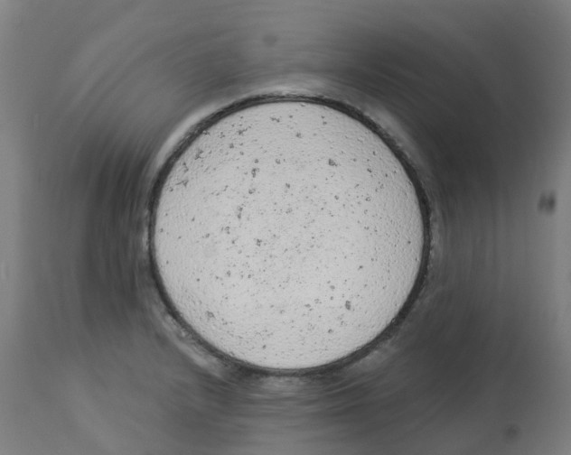 X0000112781232200909171329