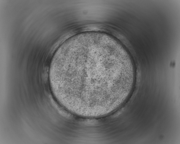 X0000112781233200909171329