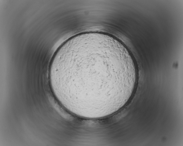 X0000112781234200909171329