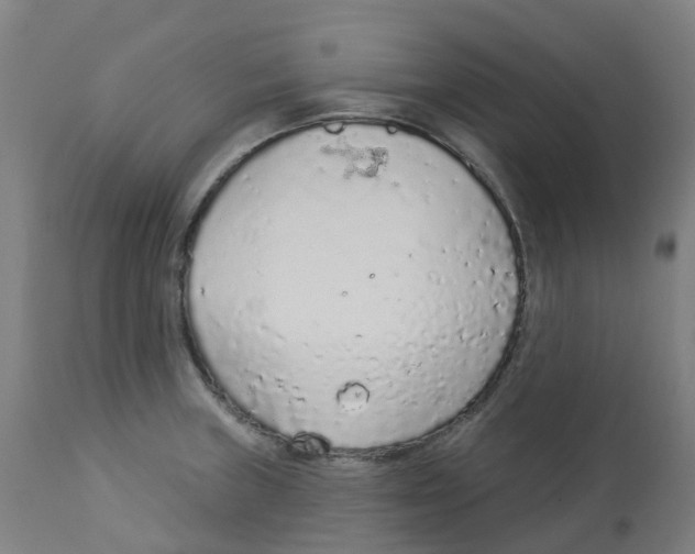 X0000112781235200909171329