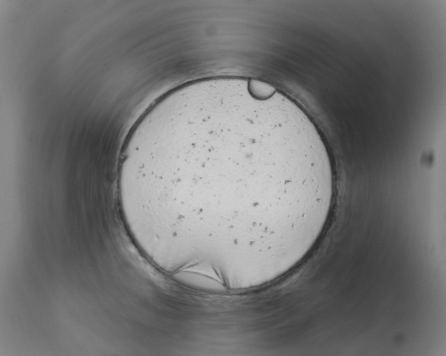 X0000112781236200909171329