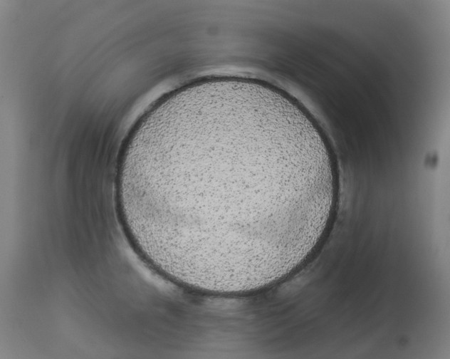 X0000112781237200909171329