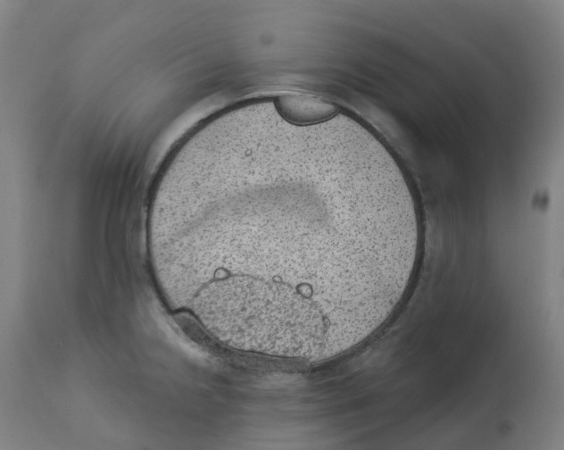 X0000112781238200909171329