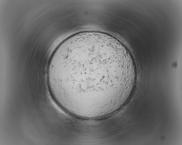 X0000112781239200909171329