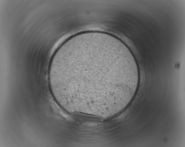 X0000112781240200909171329