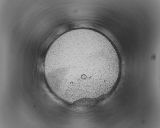 X0000112781241200909171329