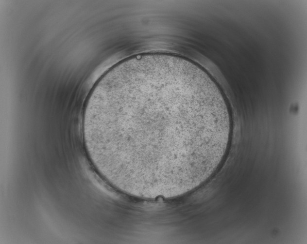 X0000112781242200909171329