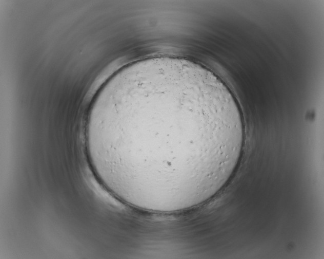 X0000112781243200909171329