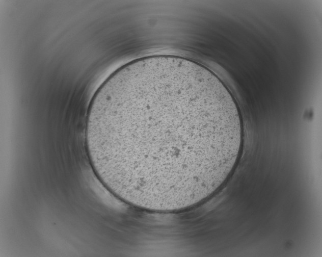 X0000112781244200909171329