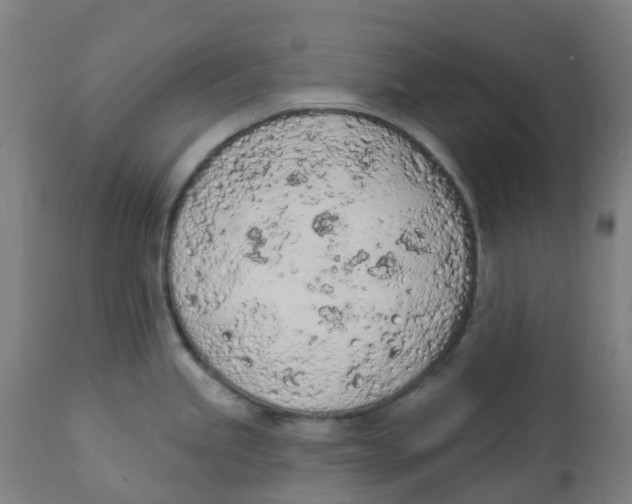 X0000112781245200909171329