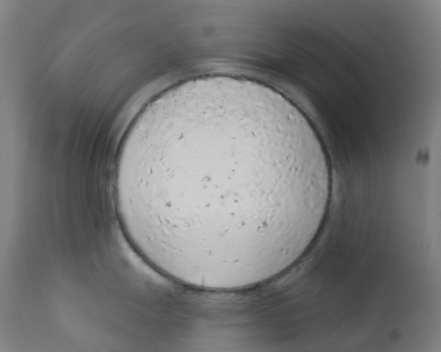 X0000112781247200909171329