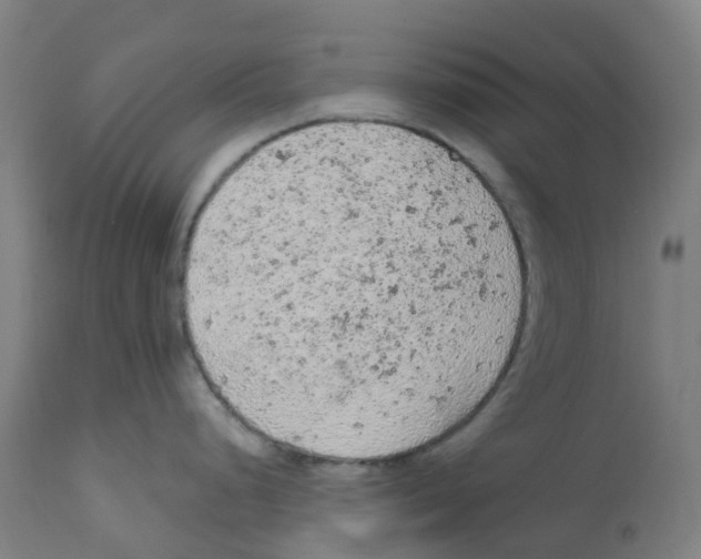 X0000112781248200909171329