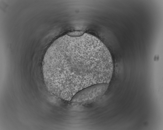 X0000112781249200909171329