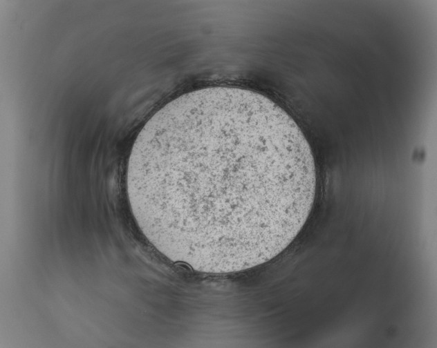 X0000112781250200909171329