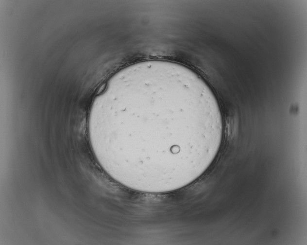 X0000112781251200909171329