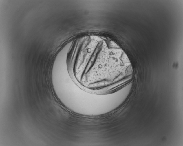 X0000112781252200909171328