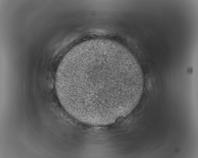 X0000112781253200909171328