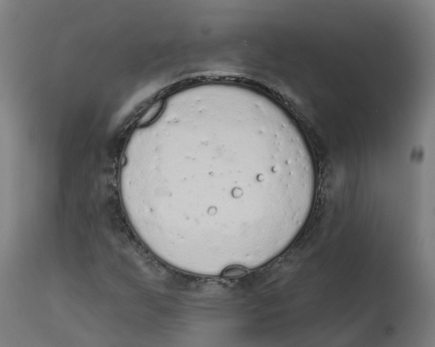 X0000112781255200909171328