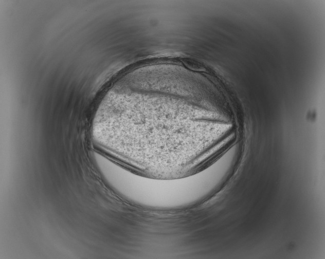 X0000112781257200909171328