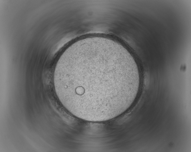 X0000112781258200909171328