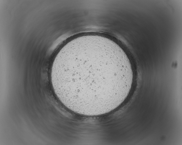 X0000112781259200909171328