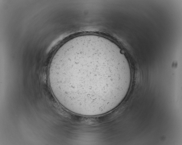 X0000112781262200909171328