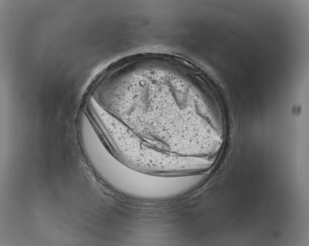 X0000112781264200909171328