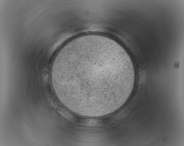 X0000112781266200909171328