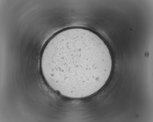 X0000112781268200909171328