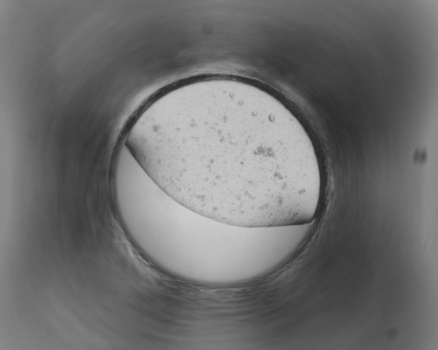 X0000112781272200909171328