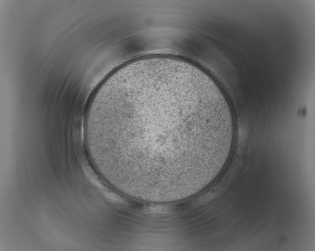 X0000112781274200909171328