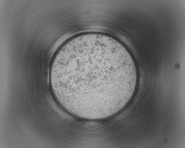 X0000112781275200909171328