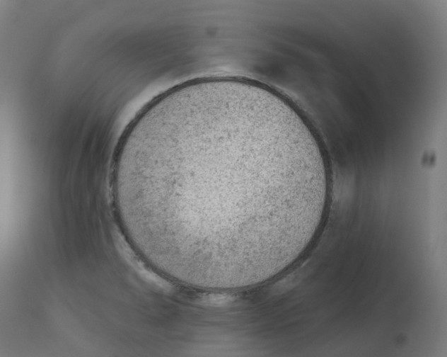 X0000112781278200909171328