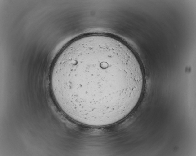 X0000112781279200909171328