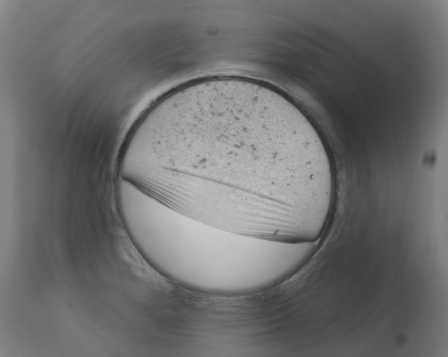 X0000112781280200909171328