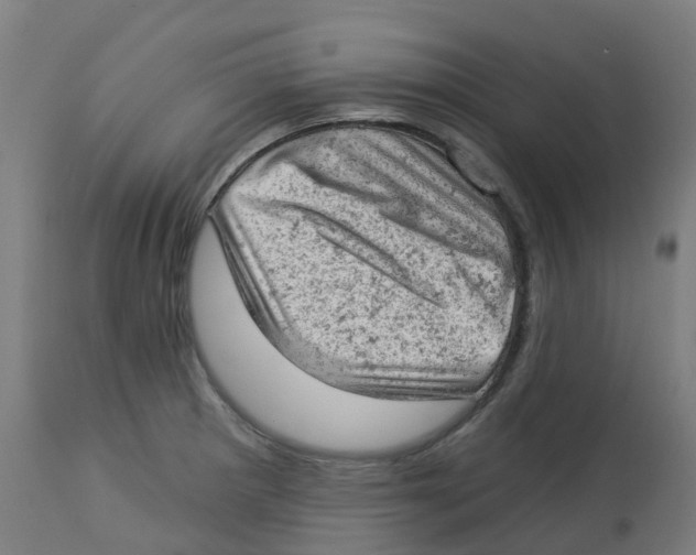 X0000112781281200909171328