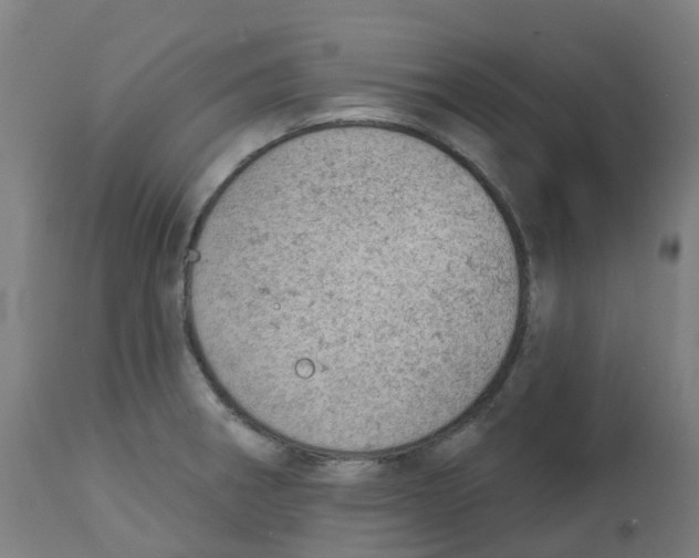 X0000112781282200909171328