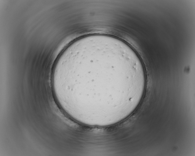 X0000112781283200909171328