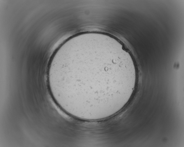 X0000112781285200909171328