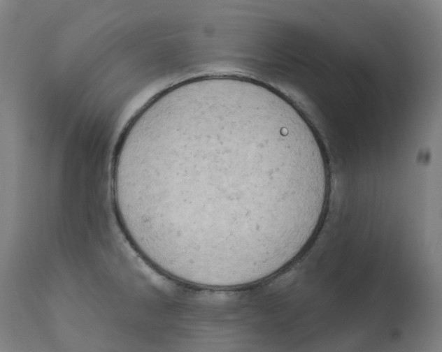 X0000112781286200909171328