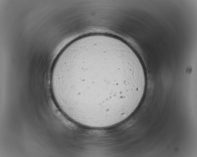 X0000112781287200909171328