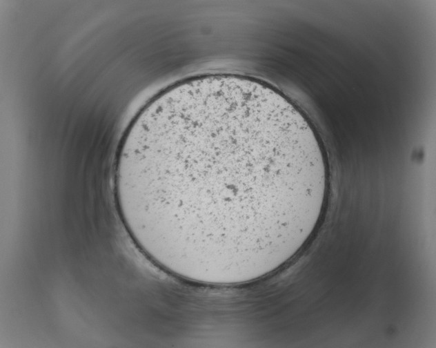 X0000112781288200909171328