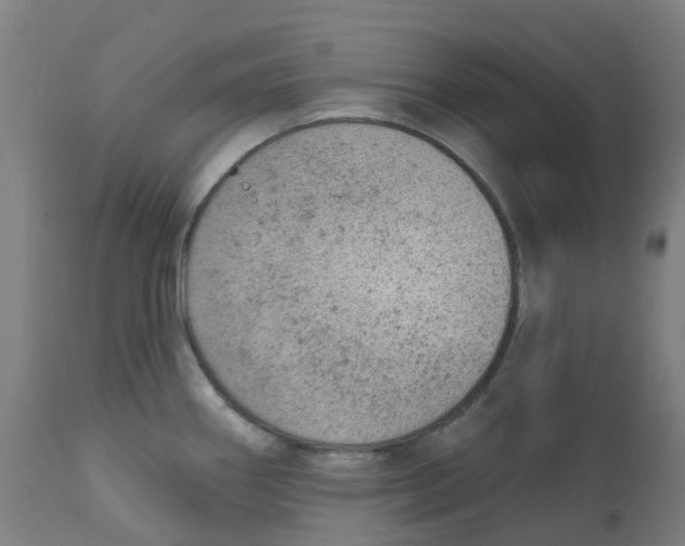 X0000112781290200909171328