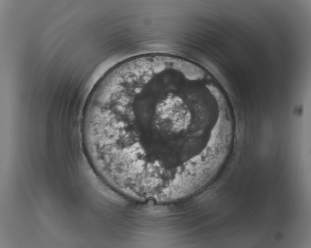 X0000112781291200909171328