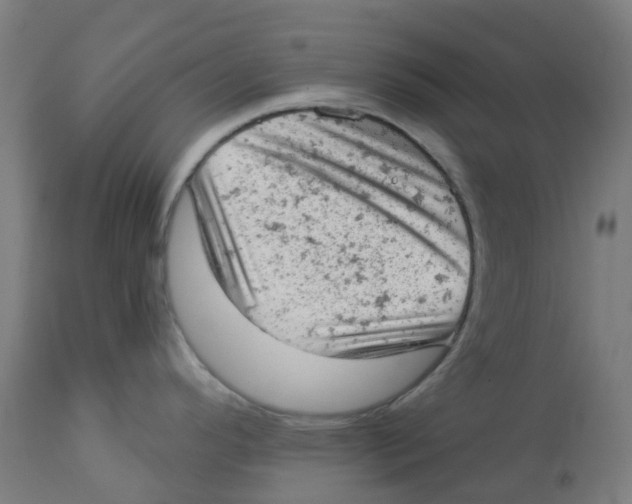 X0000112781296200909171328